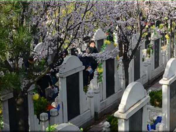 白鹿原公墓地處西安藍(lán)田縣孟村鄉(xiāng)李華村0.6萬起