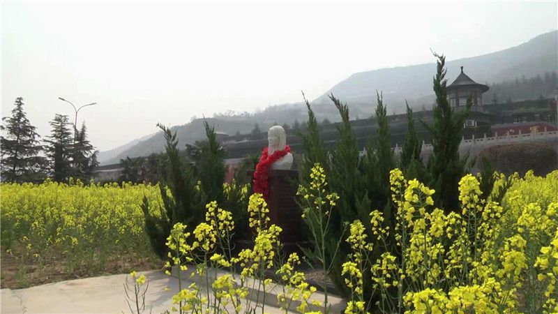 西安周邊哪里有樹葬的墓園