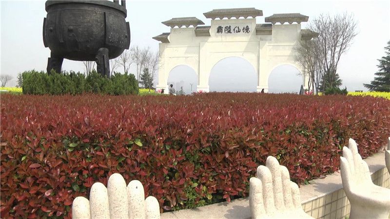 西安霸陵墓園新區(qū)圖片環(huán)境鑒賞