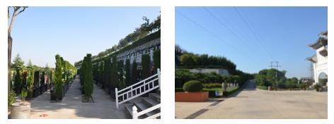 西安霸陵墓園官網(wǎng)-壽陽山墓園和高橋墓園哪個(gè)好