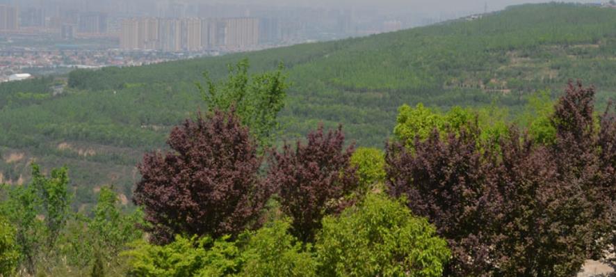 西安高橋墓園怎么樣風(fēng)水好嗎？