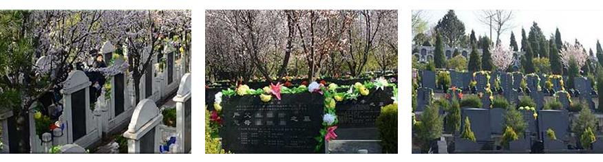 西安白鹿原公墓-藍田縣孟村鄉(xiāng)李華村