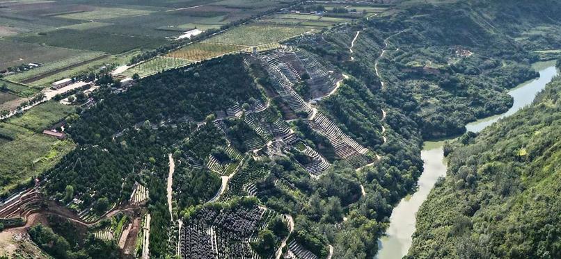 西安壽陽(yáng)山網(wǎng)站-西安壽陽(yáng)山公墓服務(wù)處電話(huà)