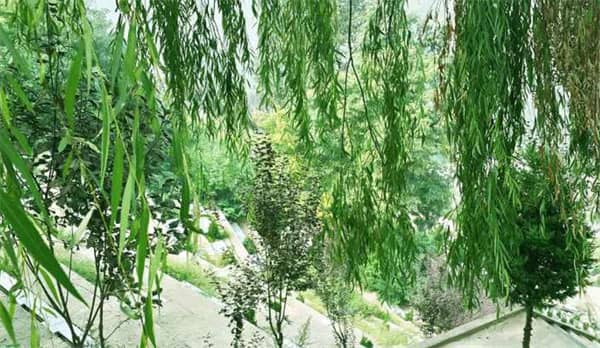 西安壽陽(yáng)山墓園風(fēng)水咋樣