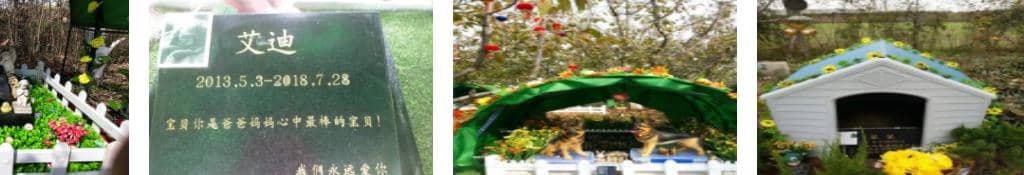 西安寵物墓地要多少錢？西安雅典娜寵物墓地
