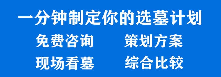 購墓指導(dǎo)、方案策劃