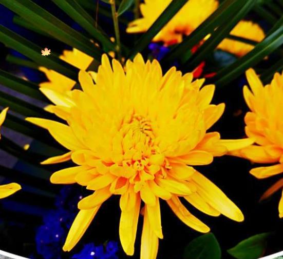 西安鳳棲山陵園依山傍水，管理規(guī)范，是安放親人的絕佳風水寶地