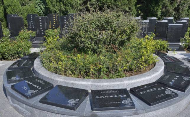 清明節(jié)當天是否能剪頭發(fā)的具體解答