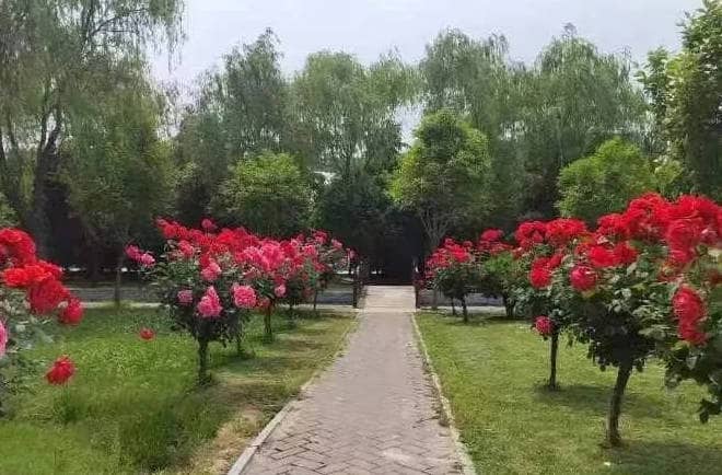 西安市奉正塬殯儀館的建設(shè)有哪些重要意義？