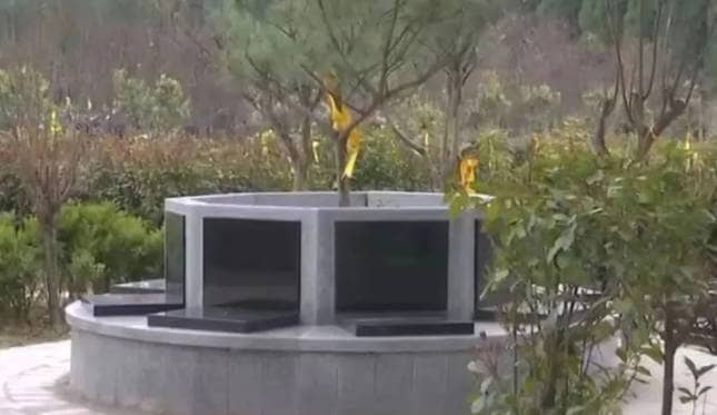 專業(yè)團(tuán)隊(duì)護(hù)航——奉正塬殯儀館的服務(wù)軟實(shí)力