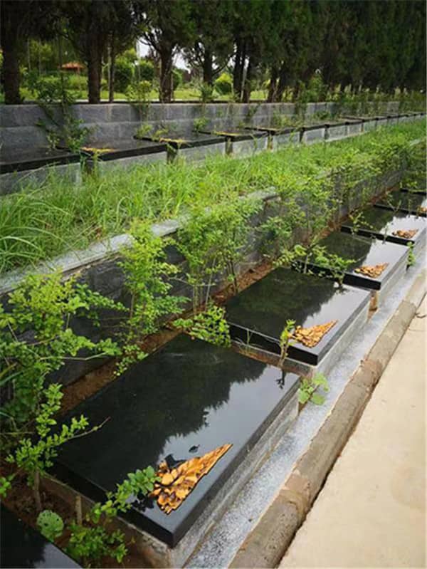 西安漢皇樹(shù)葬墓園介紹：生態(tài)環(huán)保的喪葬新選擇