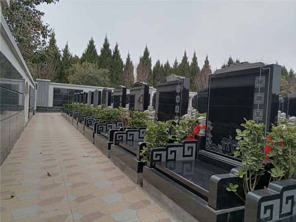 閻良墓園樹葬環(huán)境掠影：自然與人文的和諧共生