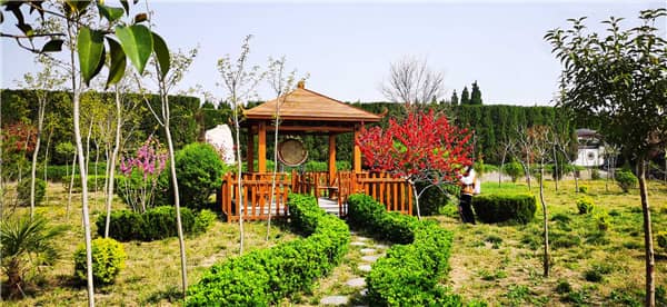 西安漢皇樹葬墓園的花壇葬服務(wù)有哪些特點(diǎn)