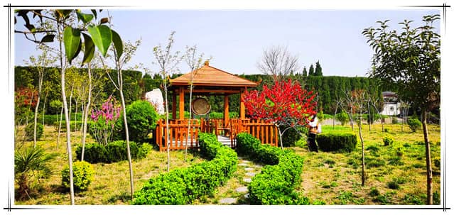 西安漢皇樹葬墓園如何通過壁葬方式體現(xiàn)對(duì)生命的尊重與紀(jì)念？