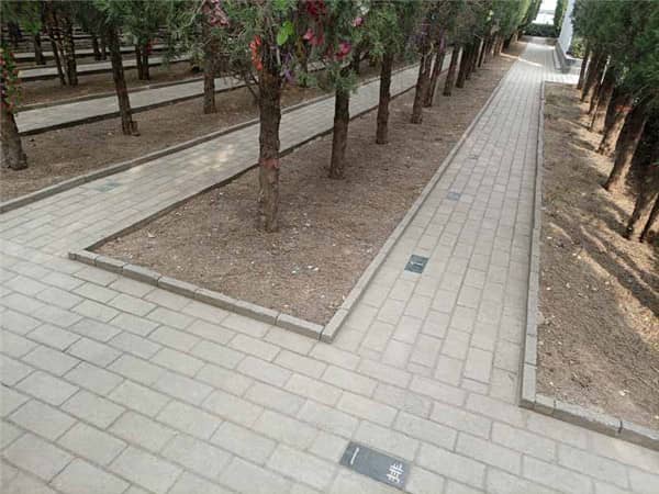 西安漢皇樹葬墓園在生態(tài)葬方面有哪些創(chuàng)新和實踐？