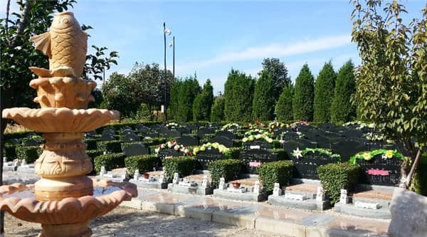 西安漢皇樹葬墓園的樹葬方案有哪些