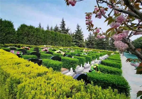 西安漢皇樹葬墓園提供了哪些類型的壁葬服務(wù)，它們各自有何特色？