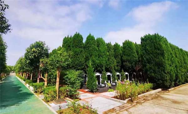 西安到閻良漢皇樹葬墓園-西安閻良漢皇樹葬墓園怎么樣呀