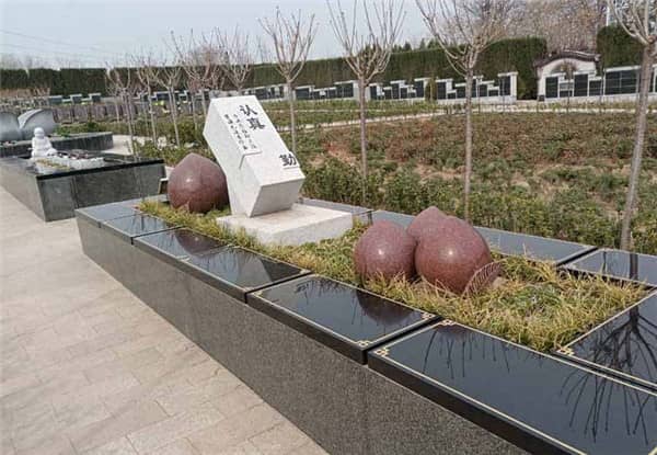 西安樹葬有哪些優(yōu)勢？