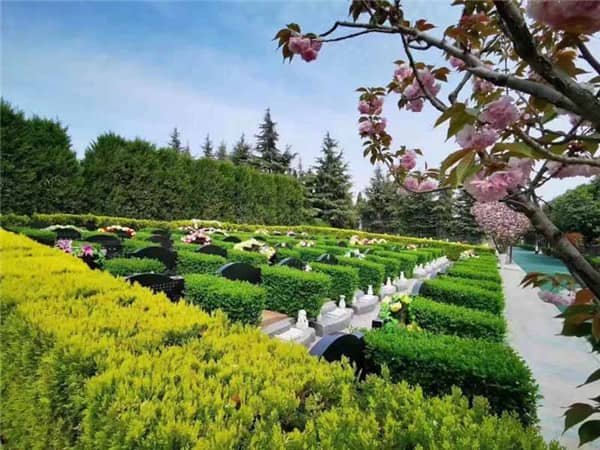 前往閻良區(qū)漢皇樹葬墓園乘坐公交車方便嗎？