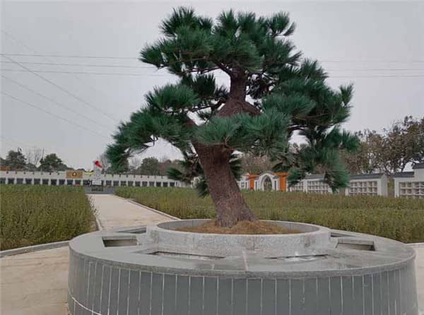 西安漢皇樹葬墓園的花壇葬服務(wù)有何特色，如何為家屬提供一個溫馨的緬懷場所？