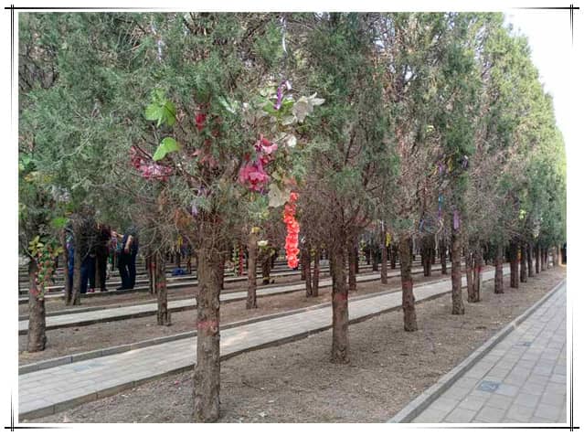 西安閻良漢皇樹葬墓園電話地址