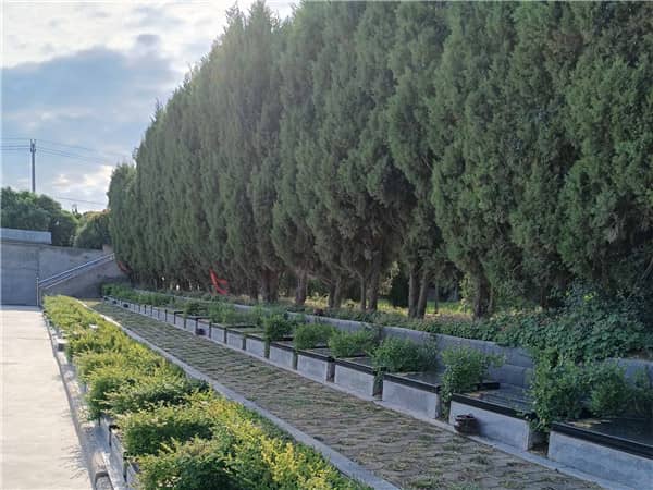 西安漢皇墓園的主要功能有哪些？