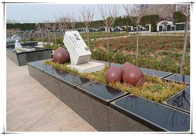 西安漢皇樹葬墓園的樹葬服務(wù)有哪些特點(diǎn)和優(yōu)勢(shì)？