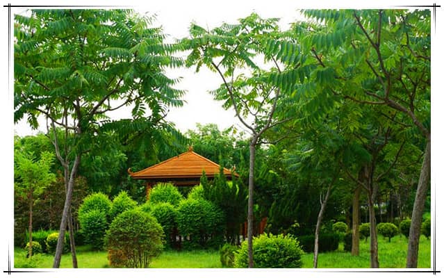 西安漢皇樹葬墓園與周邊城市或地區(qū)的交通聯(lián)系如何？