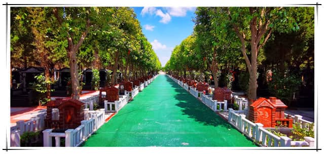 閻良漢皇樹葬墓園提供了哪些非傳統(tǒng)墓葬的葬式葬法？