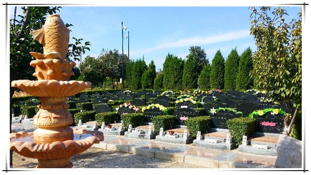 西安漢皇樹葬墓地具體位置及周邊環(huán)境