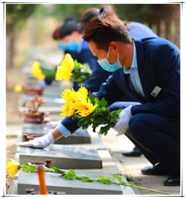 西安漢皇樹(shù)葬墓園的總占地面積以及設(shè)計(jì)墓穴數(shù)量是多少？