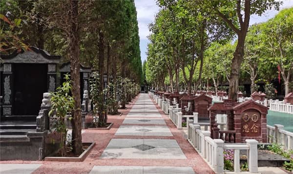 在西安選擇樹葬墓地時(shí)，除了西安閻良漢皇樹葬墓園外，還有哪些墓園提供樹葬服務(wù)，它們的現(xiàn)狀如何？