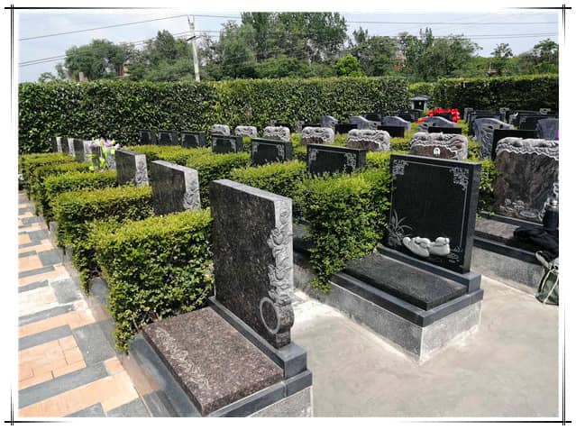 西安漢皇樹(shù)葬墓園樹(shù)葬服務(wù)詳解, 陜西生態(tài)殯葬示范項(xiàng)目