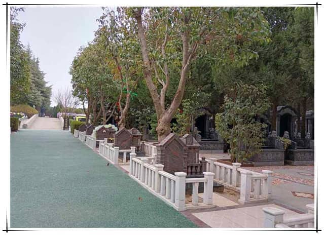 漢皇樹葬墓園和昭陵墓園在地理位置上有何不同，這對選擇墓園有何影響？