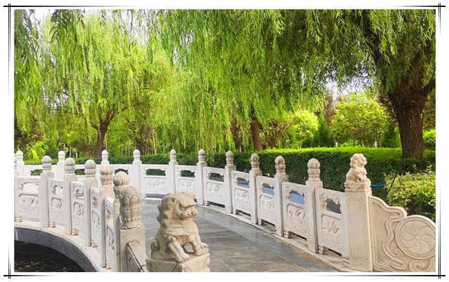 閻良附近樹葬墓園選擇：自然生態(tài)，人文關(guān)懷