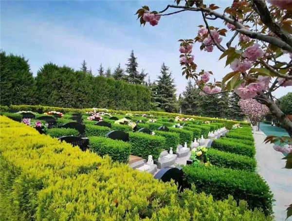 西安漢皇樹(shù)葬墓園的樹(shù)葬價(jià)位大概是多少？