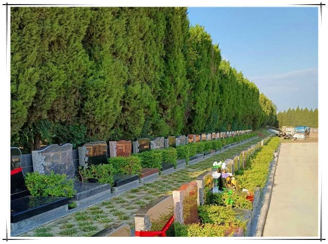 西安漢皇樹葬墓園樹葬服務深度解析, 生態(tài)殯葬典范體驗