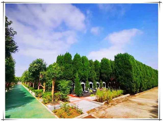 西安閻良漢皇樹葬墓園的特色與服務(wù)詳解