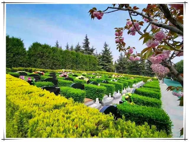 西安閻良漢皇樹葬墓園的歷史背景如何？為什么被譽(yù)為“昔日皇家陵園，今朝百姓福地”？