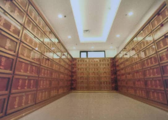 在西安鎬京墓園進(jìn)行祭祀活動(dòng)時(shí)，有哪些需要注意的安全事項(xiàng)？