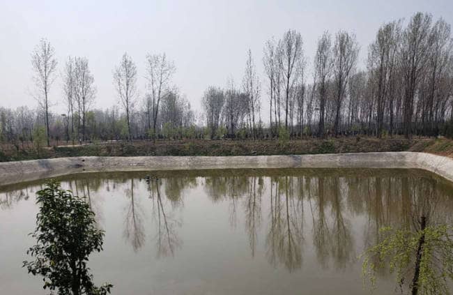 西安神禾墓園的代掃服務(wù)包括哪些內(nèi)容？家屬如何預(yù)約這項(xiàng)服務(wù)？