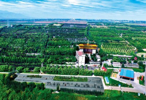 為你呈現西安鳳棲山墓園北區(qū)照片