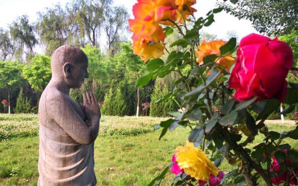 標(biāo)準(zhǔn)化建設(shè)為基——鳳棲山的品質(zhì)保障體系