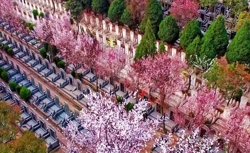 西安鳳棲山墓園禮儀？西安鳳棲山墓園如何