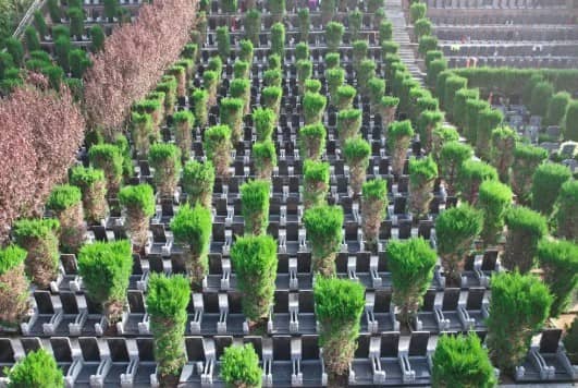 西安壽陽山墓園提供哪些類型的墓地和墓碑？客戶在選擇時有哪些注意事項(xiàng)？