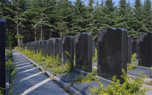 壽陽(yáng)山墓園有生態(tài)葬嗎，公墓價(jià)格