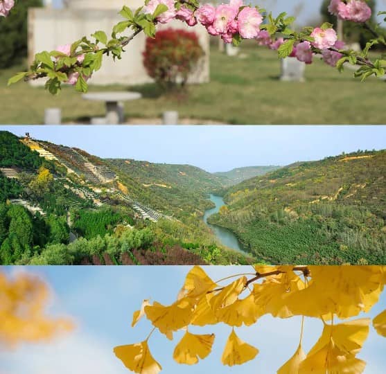 西安壽陽山墓園辦事處