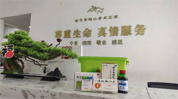 壽陽(yáng)山公墓的環(huán)境與地理位置如何？