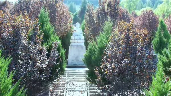 西安壽陽山墓園選購流程，快來查看！